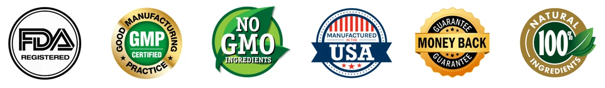 balmorexpro official website certified